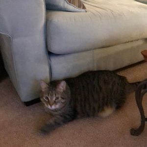 Meet your Posher, Mary